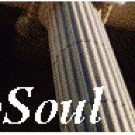 NeoSoul logo