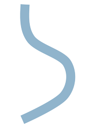 IPremom logo