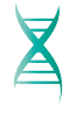 Vaxdyn logo