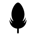 Feather logo