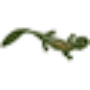 Hellbender logo