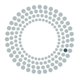 Nous S.r.l logo