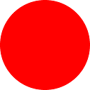 Meticulous logo