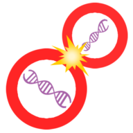 Biota logo