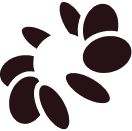 Bloom Security logo
