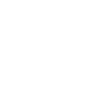 Nara logo